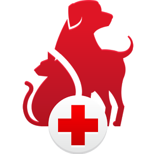 first aid dog