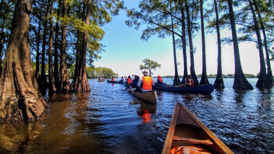 end of summer at caddo lake state park
